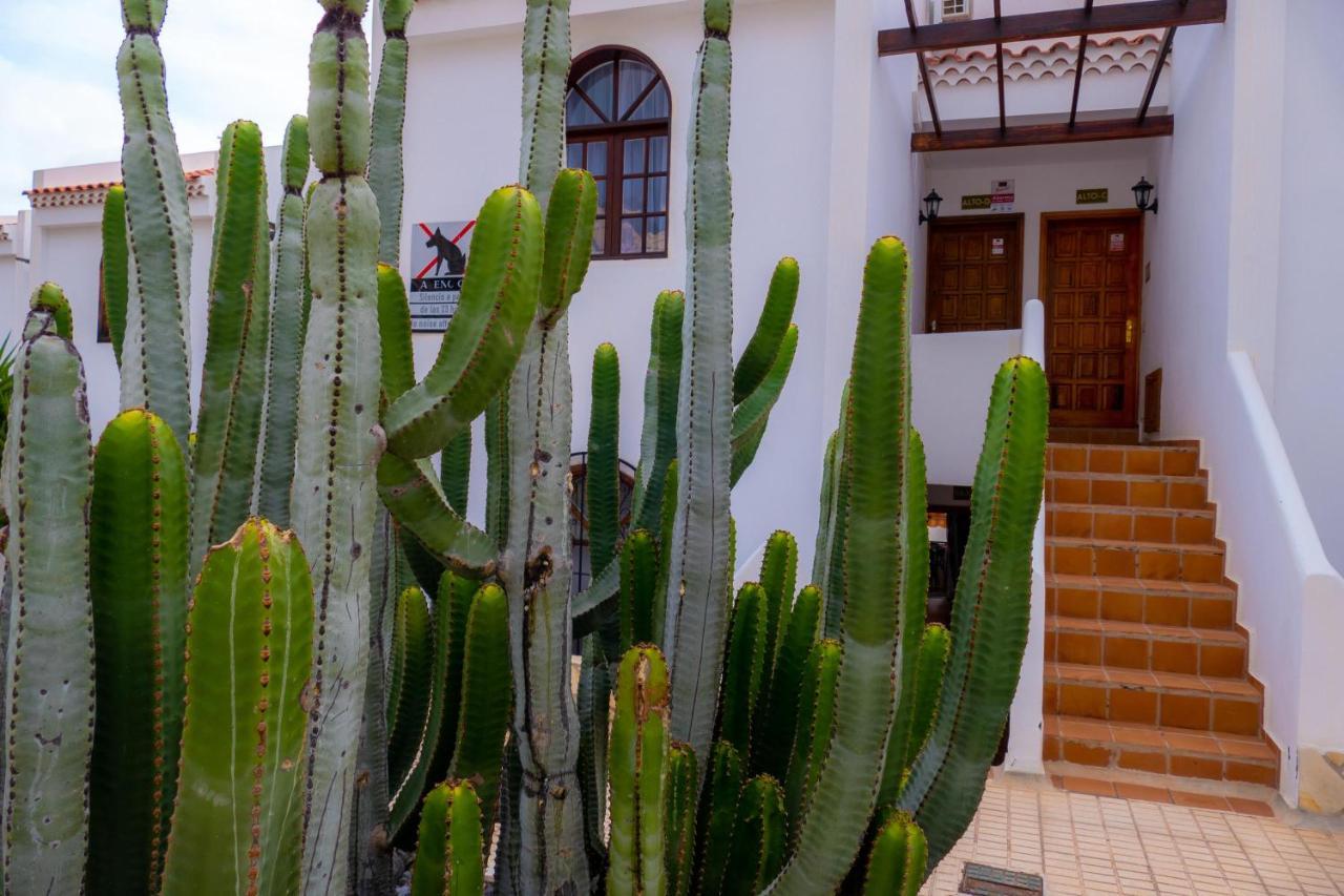 Las Bouganvillas 1 Bed Apartment In Costa Adeje Buitenkant foto